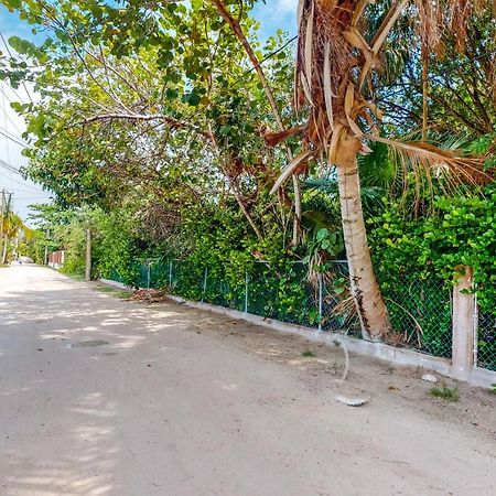 Willow 2 At Island Cabanas Gold Standard Certified Caye Caulker Exteriör bild
